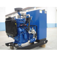 Generador de gas 30kva